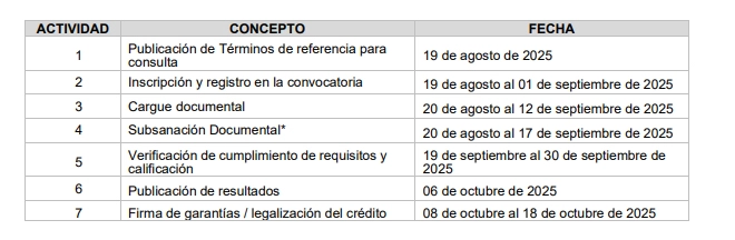 Cronograma del Fondo apoyo financiero para estudiantes con discapacidad en educación superior 